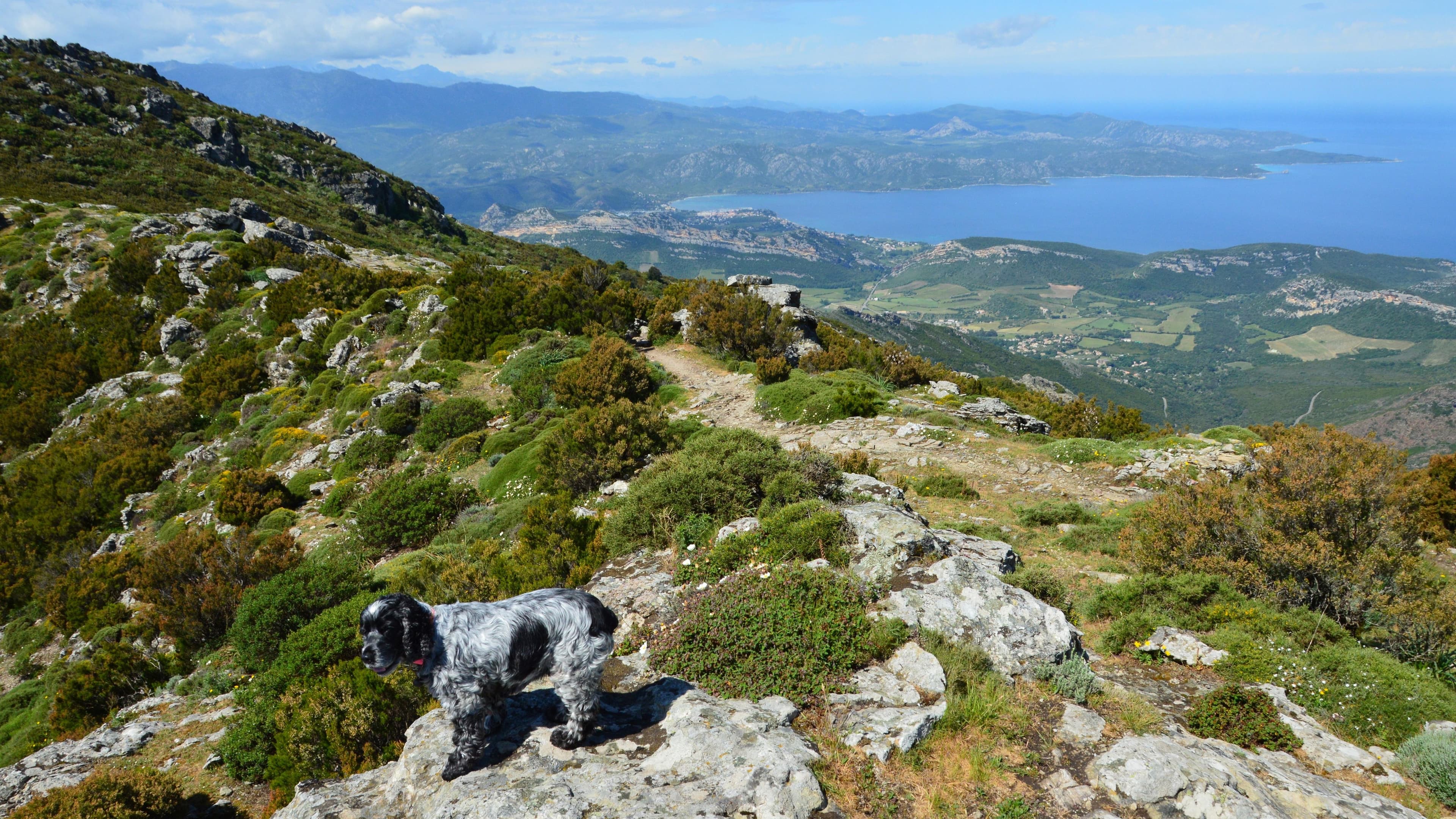 Balagne Terra — photo 38