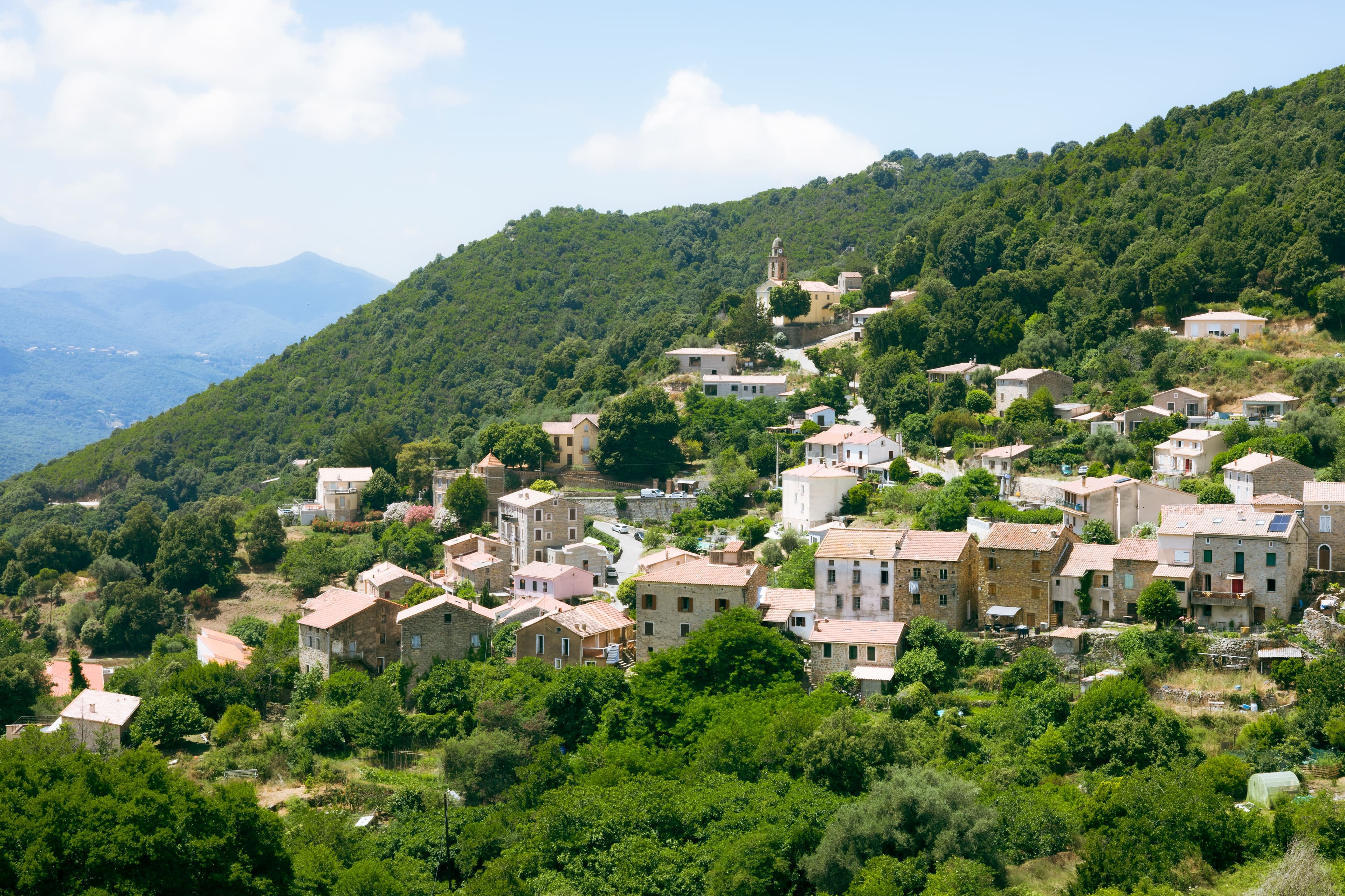 Balagne Terra — photo 36