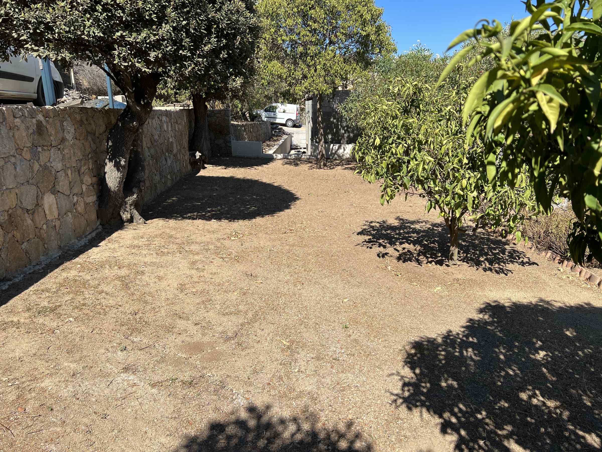 Balagne Terra — photo 18